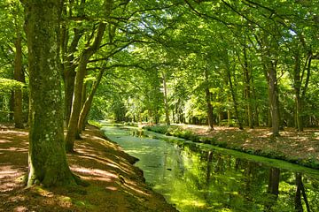 De groene rivier in Bergen in Noord-Holland van Tanja Voigt