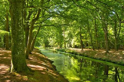 De groene rivier in Bergen in Noord-Holland