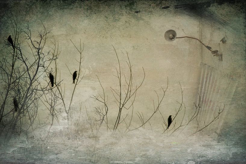 Abstrakte Vogelwelt par Heike Hultsch