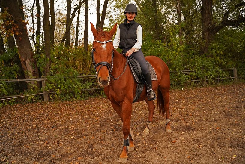 Training with the bay Oldenburg mare on a riding arena by Babetts Bildergalerie
