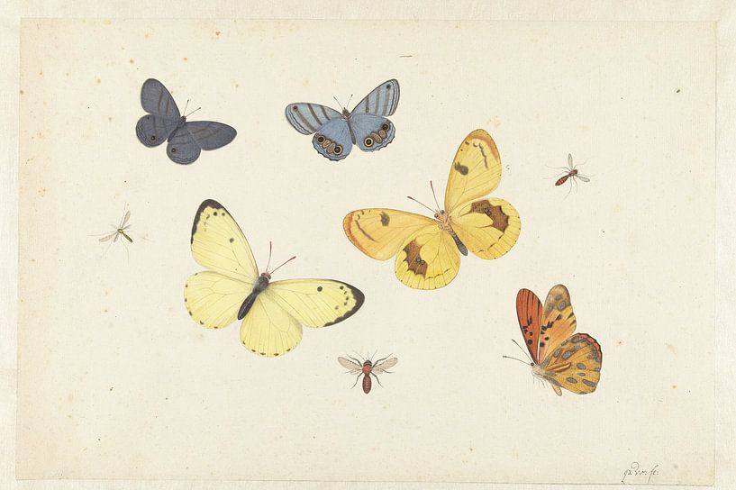 Studieblad met vijf vlinders, een wesp en twee vliegen, Pieter van Meesterlijcke Meesters