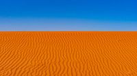 Oranje zandduinen in Wadi Rum, Jordanië van Jessica Lokker thumbnail
