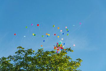 Bunte Ballons fliegen in den Himmel von Denny Gruner