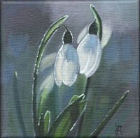 Snowdrops in the morning sun