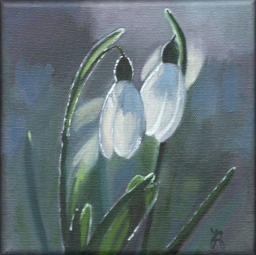 Perce-neige au soleil du matin sur StudiJoannArt