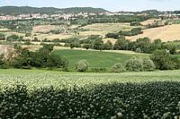 Toskanische Landschaft