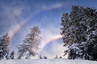 Schneebogen von Fotografie Egmond Miniaturansicht