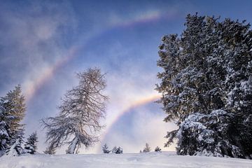 sneeuwboog van Fotografie Egmond