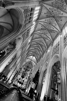 Sint-Janskathedraal Den Bosch, zwart-wit