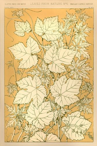 Owen Jones's famous 19th Century The Grammar of Ornament