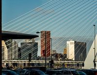 Rotterdam onder de Erasmusbrug.