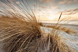 Weststrand V van Axel Ellerhorst