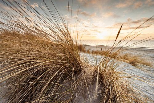Weststrand V
