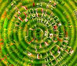 Ripples in Green (Rimpelingen in Groen) van Caroline Lichthart thumbnail