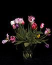 Ein Strauß blühender Tulpen von Atelier Liesjes Miniaturansicht