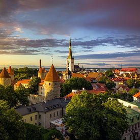 Tallinn Skyline at Sunset by Niko Kersting