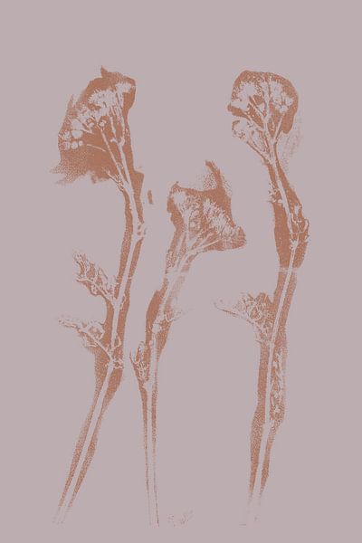 Pastel Botanicals. Plant in brown and pink no. 10 by Dina Dankers