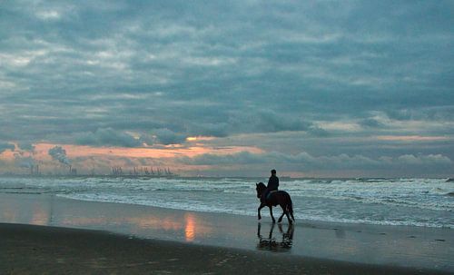 Lovely on the beach at Hoek van Holland
