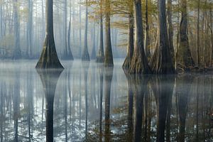 Spiegelungen im Wasser