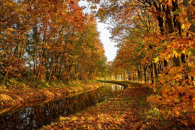 Eine kleine Herbstgeschichte von Enter von Helga Blanke