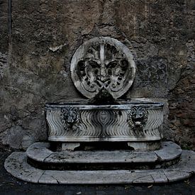 Dunkler Brunnen in Rom von Floortje Mink