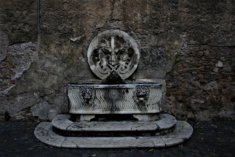 Donkere fontein in Rome van Floortje Mink