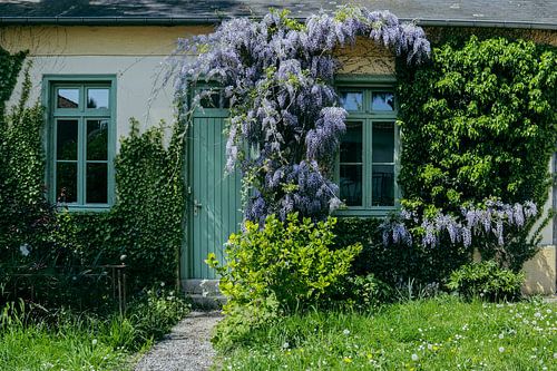 Het Blauwe Regen Huis van Yvonne Blokland