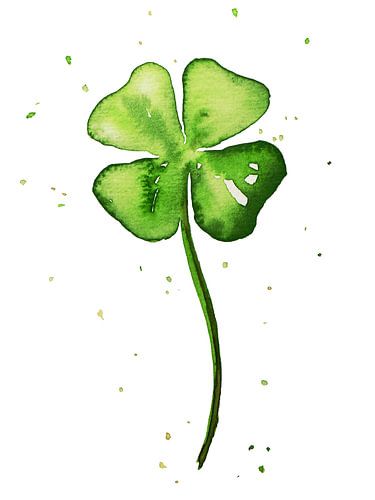 Splashing four clover (watercolor painting flowers plants clover leaf happiness love 4)
