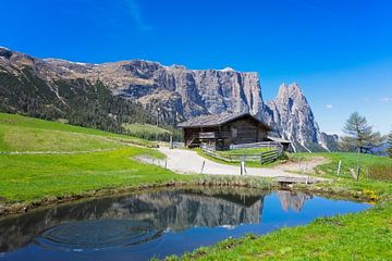 Printemps sur l'Alpe de Siusi dans les Dolomites sur Dieter Meyrl