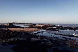 Endless by Lieke Caminada