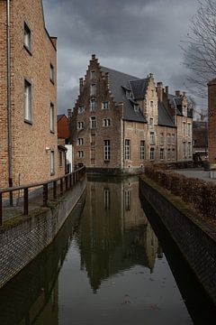 De Demer en het Spijker Diest, België van Imladris Images