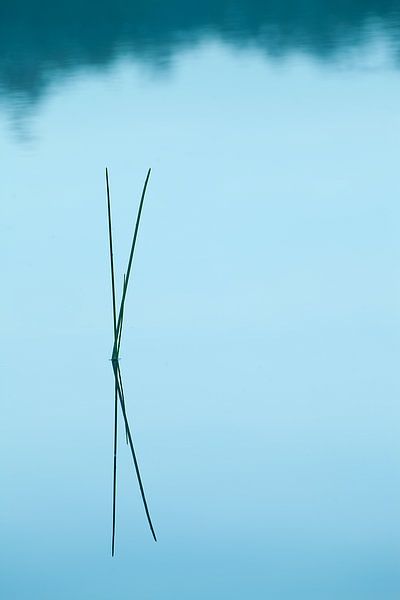 Tranquility by Halma Fotografie