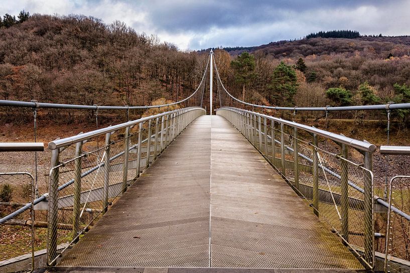 Victor Neels Bridge by Rob Boon
