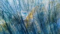 Abstract lines