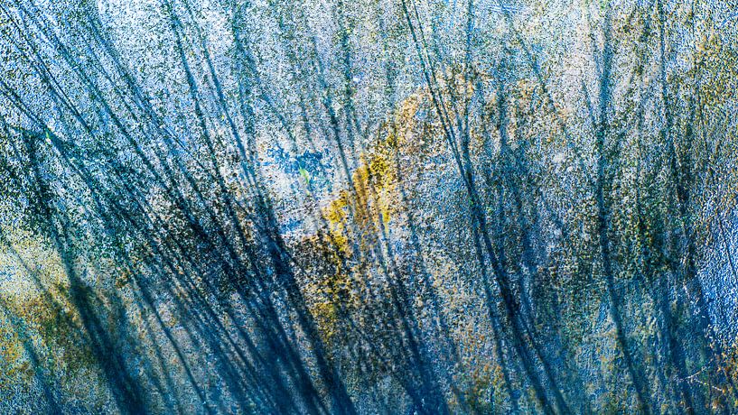 Abstract lines by Anna Hiemstra