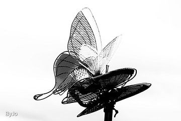 Der Schmetterling von Joke Van der Klooster