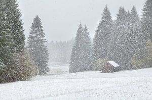 Snowstorm