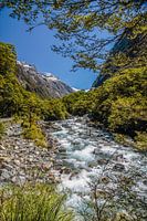 Falls Creek on the Milford Road, New Zealand