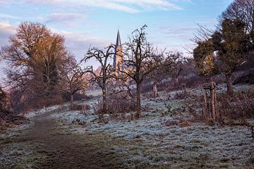 Old Orchard Vijlen by Rob Boon