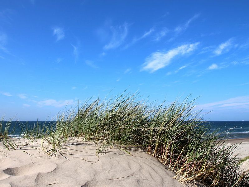 belles dunes par Ostsee Bilder