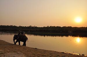 éléphant au coucher du soleil au bord du lac. sur Michael Semenov