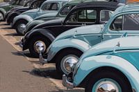 Barndoor Gathering 2023 29 Volkswagen Käfer