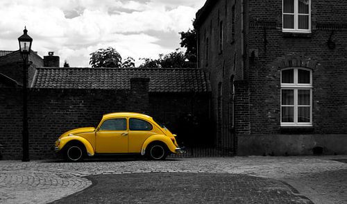 Yellow Beetle