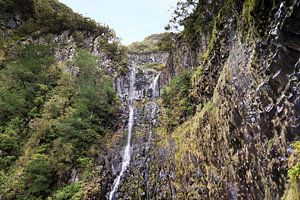 fontes risco madeira