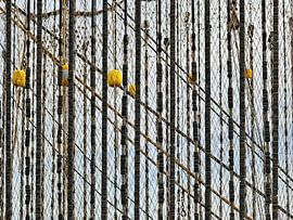 Visnetten - Texel - Oudeschild