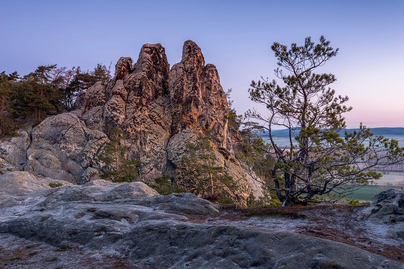 Hamburger Wappen von Stephan Schulz