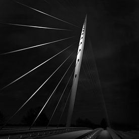 Calatrava brug bij Hoofddorp van Arthur van Orden