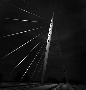 Calatrava brug bij Hoofddorp