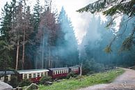 Dampfzug durch den Harz von Lavieren Photography Miniaturansicht