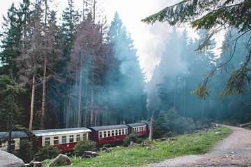 Dampfzug durch den Harz von Lavieren Photography